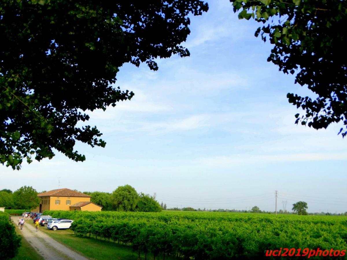 Séjour à la ferme Vitae Fabbrico